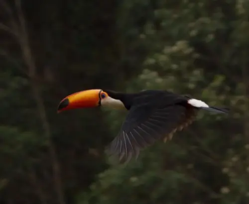A Pousada Casa do Lago Caparaó